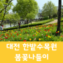 한밭수목원 튤립 대전 아이와가볼만한곳 봄나들이