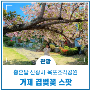 거제 겹벚꽃 스팟 : 고현 충혼탑, 신광사, 옥포조각공원