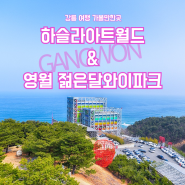 강릉 여행 가볼만한곳 하슬라아트월드 & 영월 젊은달와이파크