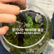 남인천농협 소노캄호텔 직원 힐링 워크샵 향기 나는 테라리움 출강