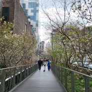뉴욕 맨해튼 하이 라인(High Line) 걷기