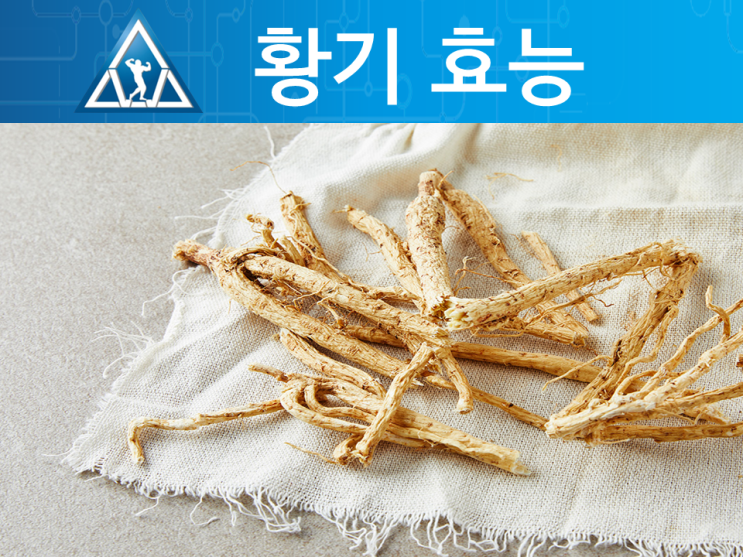 황기 효능 추출물 황기환 황기차 부작용 : 네이버 블로그