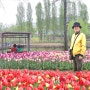 1호선-9호선을 타고 서울식물원 튤립 봄꽃 여행하다