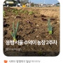 동행서울 친환경농장 2024년 2주차 (240413)