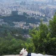 [병가일기] 불편한 진실을 마주했을 때 : 호르몬 치료의 부작용. 정부 의료개혁의 여파