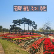 경기도 튤립 꽃축제 평택시 농업 생태원 나들이 가볼만한곳 농업체험 추천