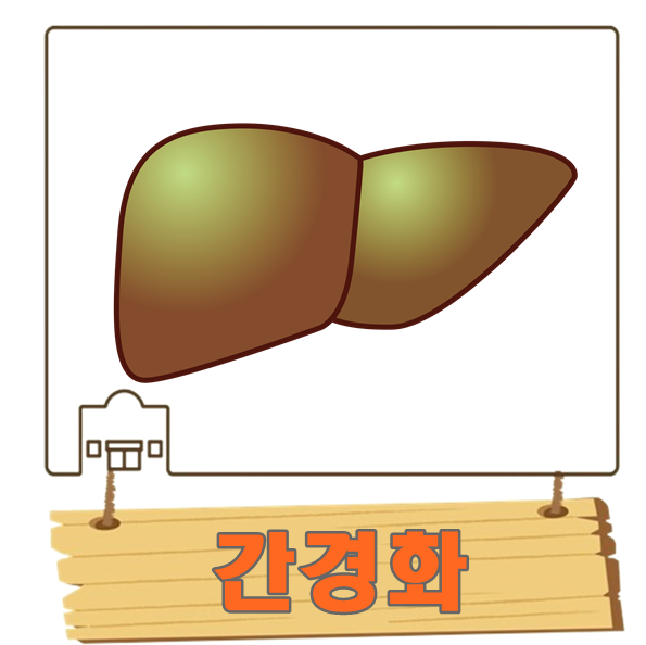 간경화 초기 말기 증상 간섬유화 진행되면 간경변 치료 가능할까 : 네이버 블로그