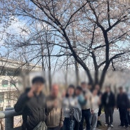 2024년 4월 연령별 자조모임_5060자조모임 '벚꽃 봄나들이'