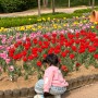 [화성] 우리꽃 식물원 아이와 가볼 만한 곳 피크닉 하기 좋은 장소