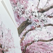 4월의 벚꽃나무 그리기 [구래동 가까이배움터] 김포 성인미술 펜드로잉&어반스케치