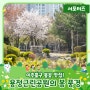 미추홀구 봄꽃 맛집! ‘용정근린공원’의 봄 풍경