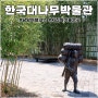 담양 여행코스: 사진 찍으며 산책하기 좋은 한국대나무박물관