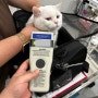 일본 도쿄 나라타 공항으로 가는 고양이 똥그리 : 강아지 고양이 일본 여행 입국 출국 절차 비용