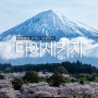 일본여행 일련정종 총본산 다이세키지 벚꽃명소
