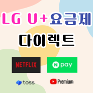 LG 유플러스 5G 요금제 추천 다이렉트 요금제 후기 넷플릭스 유튜브 혜택