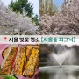 서울숲 피크닉 서울 벚꽃 명소 주말에는 자리 잡기도 힘들다 😥