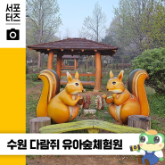 얼마 남지 않은 봄, 아이와 함께 방문해보기 좋은 <다람쥐 유아숲체험원> ☆