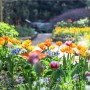 사시사철 언제나 아름다운 한택식물원의 4월 중순 풍경