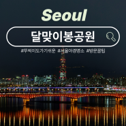 서울 야경명소 옥수 달맞이봉공원 포토존 방문 꿀팁