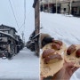 [나고야여행]다카야마 일일투어 : 히다규스시, 푸딩맛집, 미야가와 아침시장, 산마치 전통거리