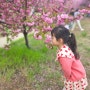 아기랑갈만한곳 대구 월곡역사공원 겹벚꽃 명소 실시간