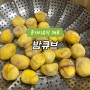 [ 중기이유식 재료 ] 밤큐브 / 밤효능, 입자크기 / 깐밤으로 편하게 준비하기