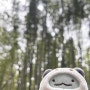 일본 여행 2일차 교토/우지 (치이카와모구모구샵, 후시미이나리신사, 뵤도인, 교토 리락쿠마 카페, 아라시야마 대나무 숲)