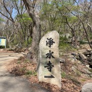 [아기랑 나들이] 강화도 “정수사” 마니산 사찰 방문, 봄의 절 풍경 담기