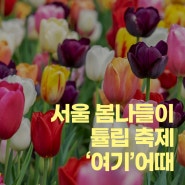 서울 봄나들이 튤립 축제 '여기'어때