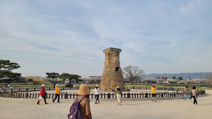 경북 경주 가볼만한곳 첨성대, 계림, 황리단길