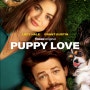퍼피 러브 (Puppy Love, 2023)