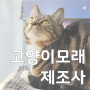 고양이 모래, 벤토나이트 특징과 제조업체 리스트