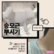 승모근 뿌시기 프로젝트! '프롬비 닥터바디 무선 어깨 마사지기' 내돈내산 후기 (예신 승모근 관리)