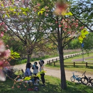 부산 피크닉 자전거 타기 좋은 화명생태공원