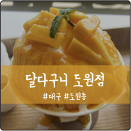 대구 월광수변공원 디저트 카페 달다구니 도원점(망고빙수 찐맛집)