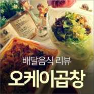 [배달음식리뷰]안산 오케이곱창 배달 맛집