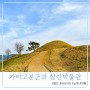 함안 가볼만한곳 가야말이산고분군과 함안박물관(+휴관일, 입장료, 포토존, 벚꽃)