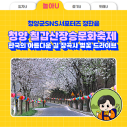 제25회 청양 칠갑산장승문화축제 & 한국의 아름다운 길 장곡사까지 벚꽃 드라이브