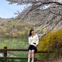 [구미숙소] 옥성자연휴양림-벚꽃구경하며 산책하기 좋은 구미자연휴양림