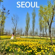 서울 공원 추천 봄나들이 튤립 마곡 서울 식물원 호수공원