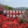 전주 볼거리 겹벚꽃명소 완산칠봉꽃동산 나들이