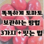 똑똑하게 토마토 보관하는 방법 3가지(실온, 냉장, 냉동) 씻는 법도 확인해요.