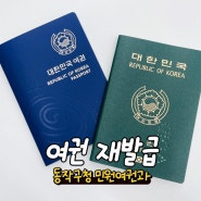 여권재발급 장소 비용 준비물 동작구청 민원여권과
