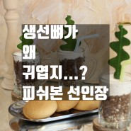 [투팟 - 부산화분]피쉬본 선인장, 키우기 쉬운 식물 추천