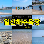 경기도 일산에 없고 경북 울산에 있는 일산 해수욕장