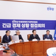 [국회의원 진선미] 경제 위기 속 대한민국, 민주당이 더 빠르게 대응하겠습니다.