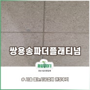 서울 줄눈 송파쌍용더플래티넘 백화문제 방지