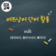 베트남어 여행 회화 표현 및 인강 추천 | ECK교육의 '베트남어 올인원 패키지/평생교육바우처 사용처
