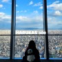 오사카 가볼만한곳! 걸어서 하루카스 300방문(feat. 츠텐카쿠, 덴시바공원)
