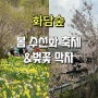 2024 화담숲 벚꽃 막차, 화담숲 봄 수선화 축제, 반입금지 물품, 주차, 꿀팁